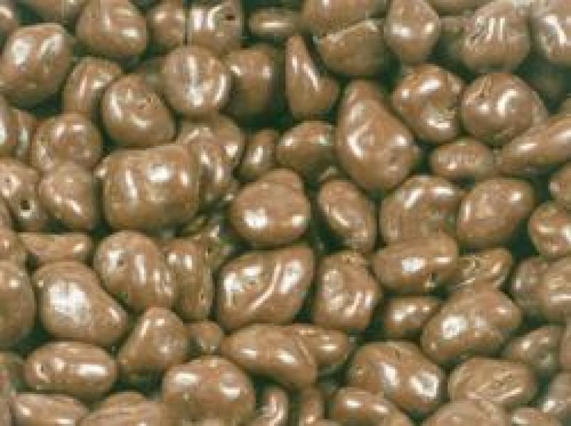 Choco_raisins_milk_jumbo