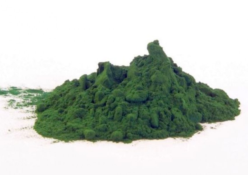 Spirulina11